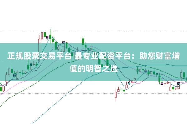 正规股票交易平台 最专业配资平台：助您财富增值的明智之选