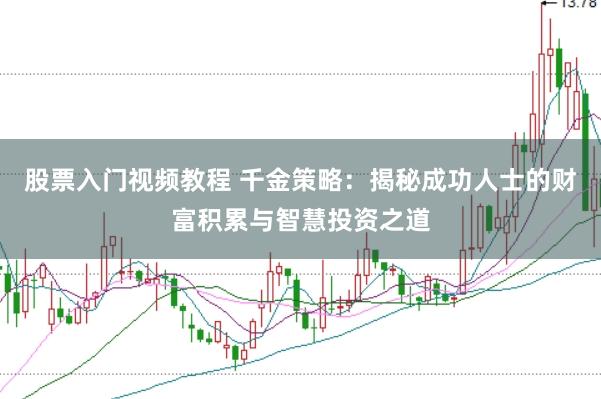 股票入门视频教程 千金策略：揭秘成功人士的财富积累与智慧投资之道