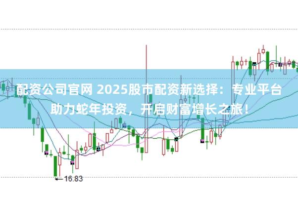 配资公司官网 2025股市配资新选择：专业平台助力蛇年投资，开启财富增长之旅！