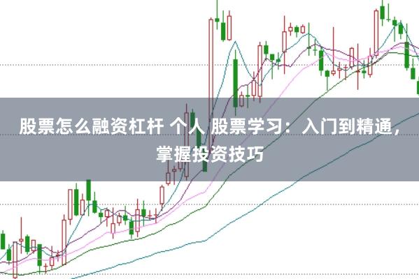 股票怎么融资杠杆 个人 股票学习：入门到精通，掌握投资技巧