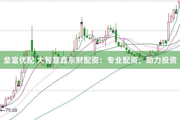 垒富优配 大智慧鑫东财配资：专业配资，助力投资