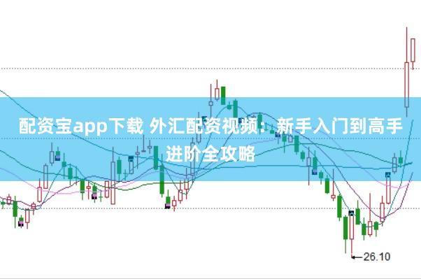 配资宝app下载 外汇配资视频：新手入门到高手进阶全攻略