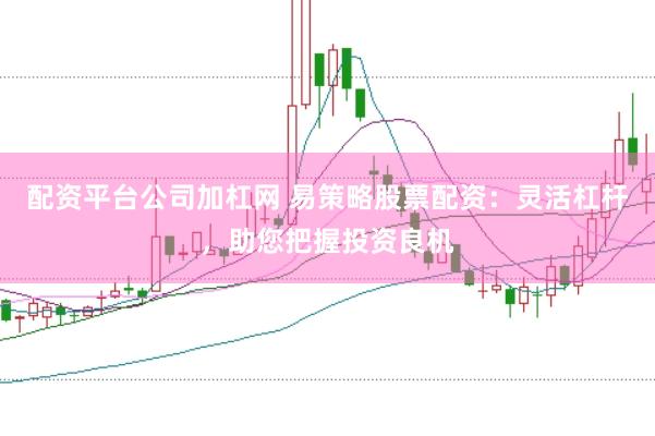 配资平台公司加杠网 易策略股票配资：灵活杠杆，助您把握投资良机
