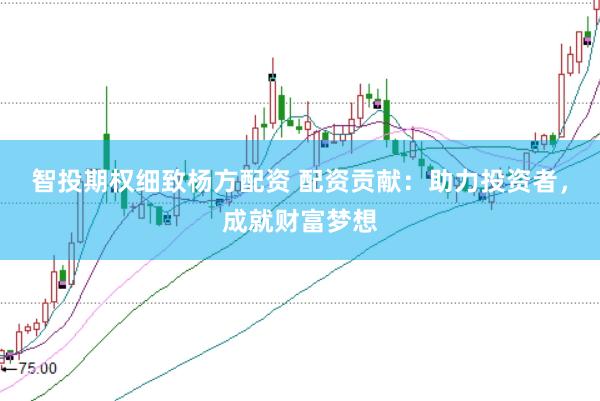 智投期权细致杨方配资 配资贡献：助力投资者，成就财富梦想