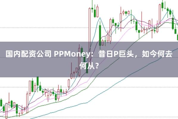 国内配资公司 PPMoney：昔日P巨头，如今何去何从？