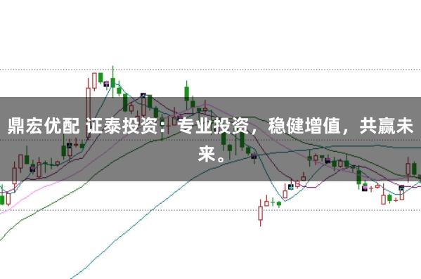 鼎宏优配 证泰投资：专业投资，稳健增值，共赢未来。