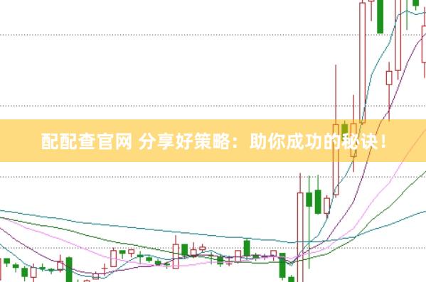 配配查官网 分享好策略:助你成功的秘诀!
