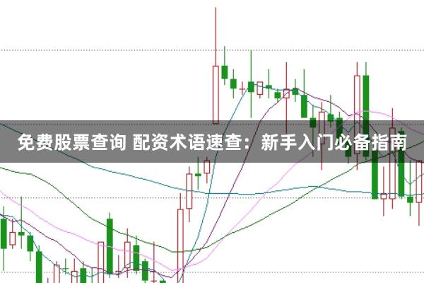 免费股票查询 配资术语速查:新手入门必备指南