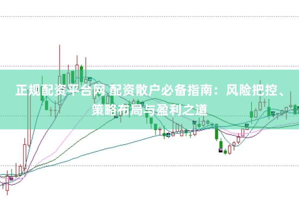 正规配资平台网 配资散户必备指南：风险把控、策略布局与盈利之道