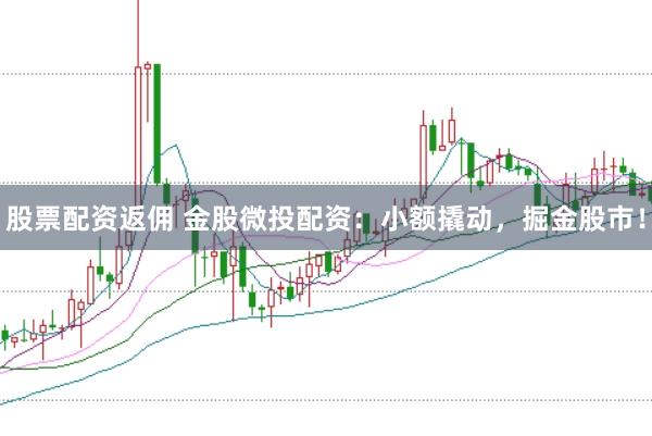 股票配资返佣 金股微投配资：小额撬动，掘金股市！