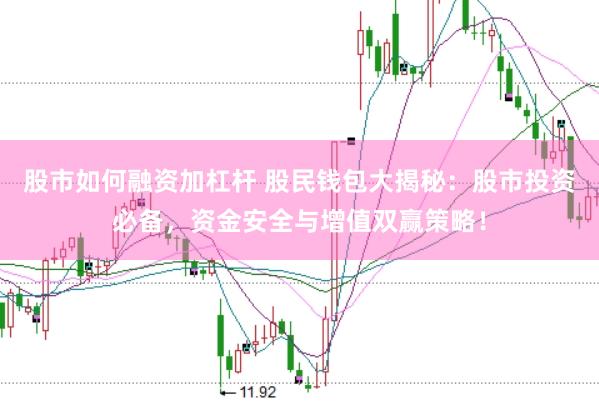 股市如何融资加杠杆 股民钱包大揭秘:股市投资必备,资金安全与增值双赢策略!