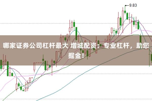 哪家证券公司杠杆最大 增城配资:专业杠杆,助您掘金!
