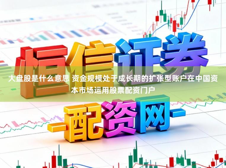 大盘股是什么意思 资金规模处于成长期的扩张型账户在中国资本市场运用股票配资门户